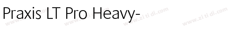 Praxis LT Pro Heavy字体转换